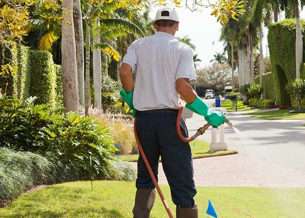 About Newton KS Pest Control